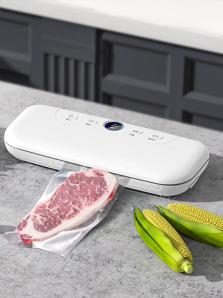 100 sacs sous vide 18x25cm pou - Food Storage Vacuum Sealer Machine avis et prix